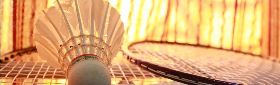 Abteilung Badminton