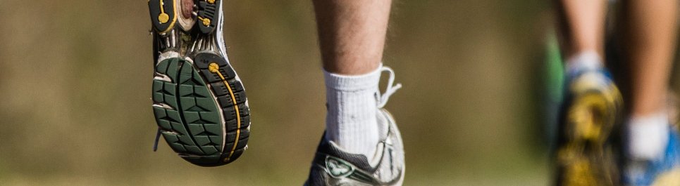Trainingszeiten allgemein