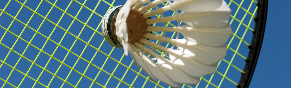 Abteilung Badminton